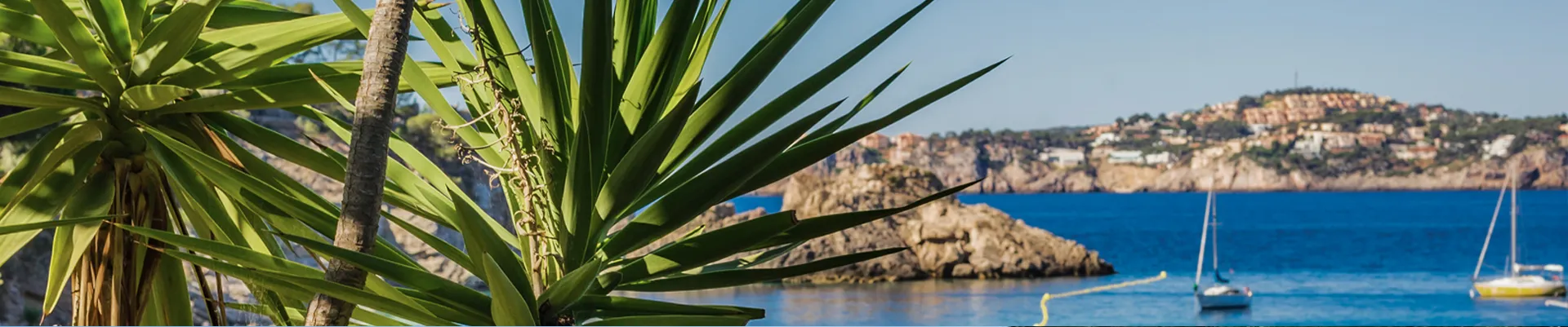 Hoteles de Playa | Hoteles de familia | Hoteles de Lujo | BlueBay