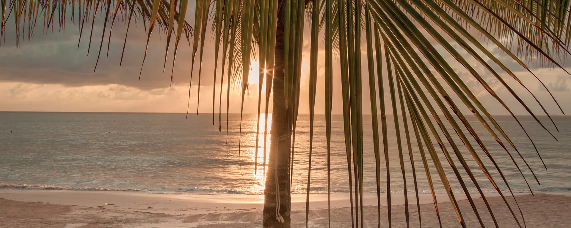 Club Vacacional Circleone - Bluebay Hotels & Resorts