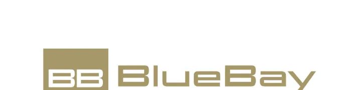 BLUEBAY FORTALECE SU ESTRATEGIA ONLINE CON LA INCORPORACIÓN DE ANTONIO BATANERO COMO CONSULTOR EN ECOMMERCE Y MARKETING DIGITAL